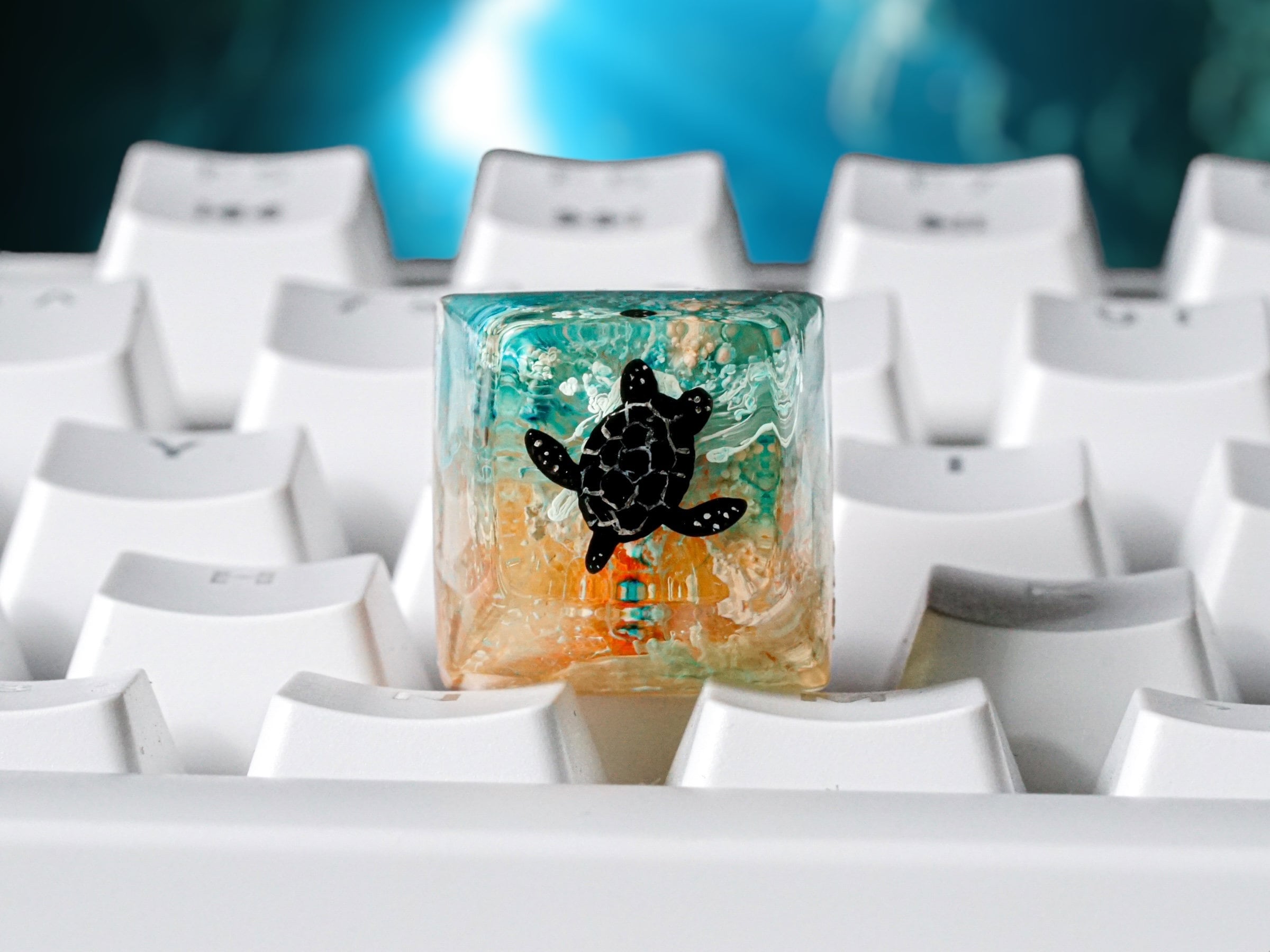 Black Turtle Keycap, Orange Blue Coral, SA Profile Keycap, Keycap for MX Cherry Switches Mechanical Keyboard, Handmade Gift